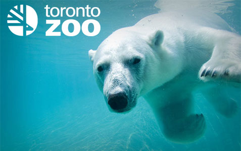 Toronto Zoo and Durham Region Transit
